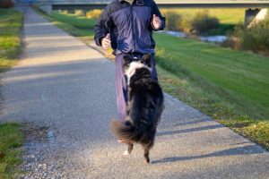 Man is attacked by a dog while he was jogging